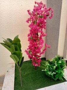 WhatsApp Image 2025-11-27 at 9.49.13 PM (3)