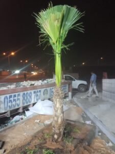 WhatsApp Image 2025-11-27 at 9.49.13 PM (9)